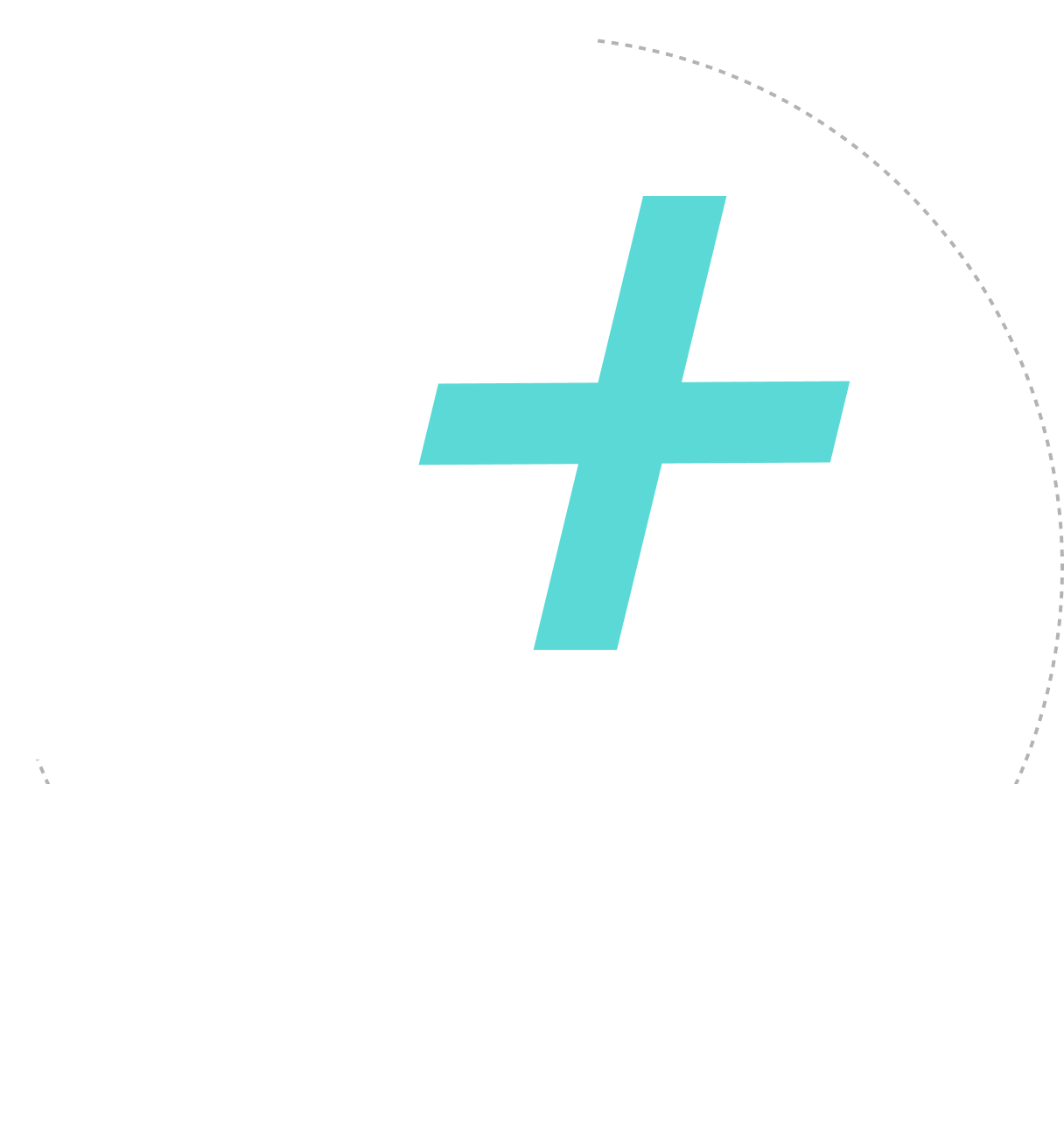 Project Team Structure