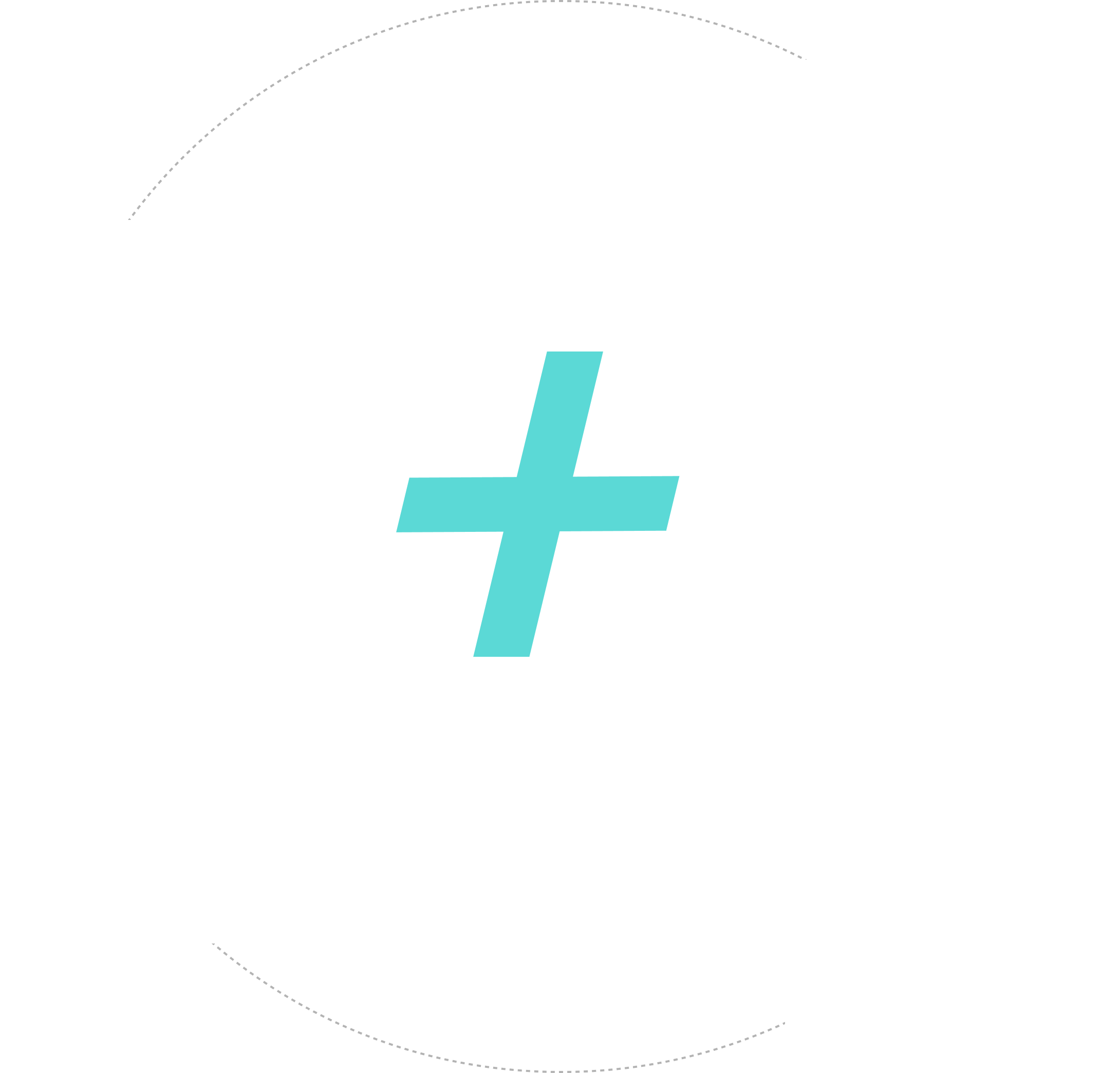 Project Team Structure